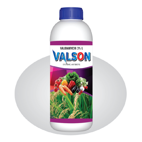 Valson