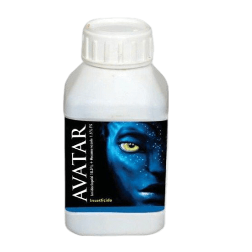 Avatar